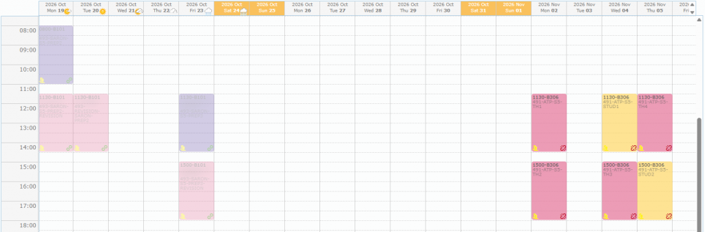 Scheduler tab showing several days with project boxes (not synced) and synced boxes, the hours column on the left and the day headers with weather icons