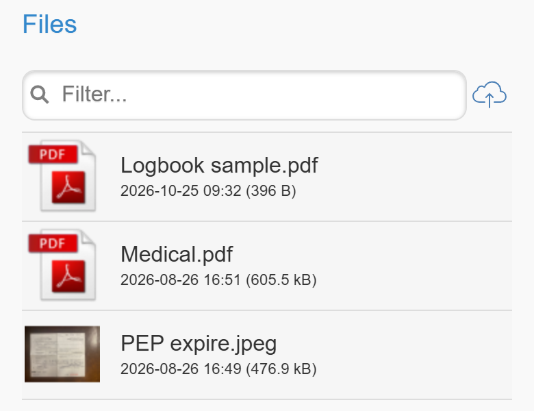 Mobile files